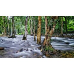 ที่ดินนครนายก ติดลำธารสวย บรรยากาศดีมากๆ วิวภูเขาล้อมพาโนราม่า ต.สาริกา อ.เมือง จ.นครนายก โฉนดครุฑแดง