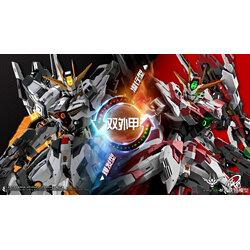 (MG) 1/100 IRON TOYS STAR ETERNAL