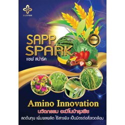 Sapp Spark Amino Innovation นวัตกรรม อะมิโนบำรุงพืซ อาหารสำหรับพืช ลดต้นทุน เพิ่มผลผลิต เป็นมิตรกับคน และสิ่งแวดล้อม