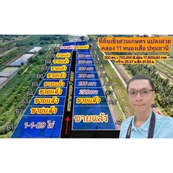 📢 ที่ดินแบ่งขายทำเลดี คลอง 11 หนองเสือ ปทุมธานี (รพีพัฒน์ เฟส 3) 🎗️