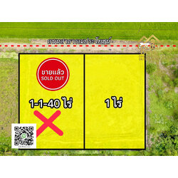 ที่ดินปทุมธานี แปลงสวย ทำเลดี คลอง 8 ขนาด 1 ไร่ อ.หนองเสือ จ.ปทุมธานี