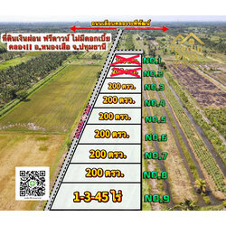 ที่ดินปทุมธานี ที่สวย ราคาถูก สดและผ่อน ขนาด 200 ตรว อ.หนองเสือ จ.ปทุมธานี