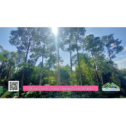 ที่ดินสวยขนาด 10 ไร่ อยู่ในแหล่งท่องเที่ยว ใกล้เขื่อนด่านปราการชล ต.สาริกา อ.เมือง จ.นครนายก