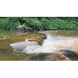 ที่ดินนครนายก ติดน้ำ ที่สวย มี 8 แปลง ต.นาหินลาด อ.ปากพลี จ.นครนายก โฉนดครุฑแดง