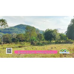 ขายที่วิวภูเขา 3 ไร่ ครุฑแดง อยู่ติดกับที่ดินของ ดาราคนดัง ต.เขาเพิ่ม อ.บ้านนา จ.นครนายก