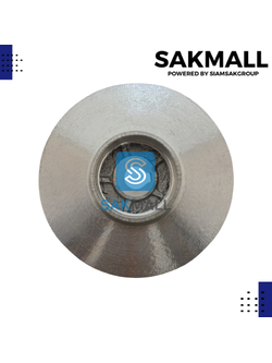 ใบพัดน้ำปั๊มแช่ TASANI รุ่น QDX 150 (1 นิ้ว)