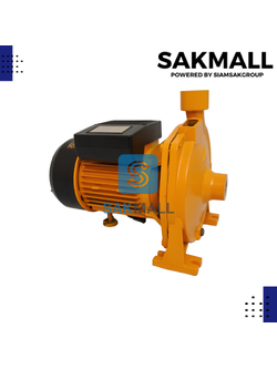 ปั๊มหอยโข่ง TASANI รุ่น SKSCM-200P / 1 นิ้วx1.5HP