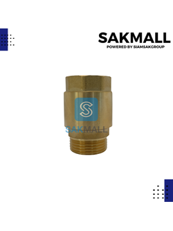 เช็ควาวล์สปริงทองเหลือง TS119 ขนาด 1 นิ้ว