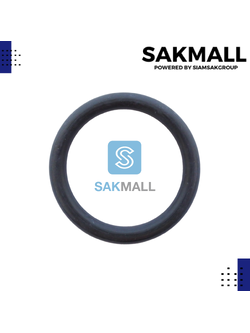 โอริงฝาปิดล่อน้ำ AUWZB-250,370