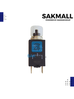 โอเวอร์โหลดกล่องปั๊มบาดาล 12A