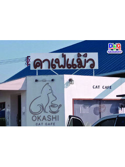 ป้ายพื้นคอมโพสิทตัวอักษรซิงค์ยกขอบทำสี