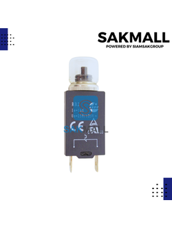 โอเวอร์โหลดกล่องปั๊มบาดาล 16A