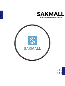 โอริงฝาปิดใบพัดทองเหลือง AUWZB-250,370