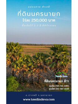 ที่ดินแปลงสวย ราคาถูก เนื้อที่ 33-1-67 ไร่ ราคาไร่ละ 250,000 บาท การเดินทางสะดวก อยู่ใกล้จุดชมนกเหยี่ยวหูดำ อ.ปากพลี จ.นครนายก