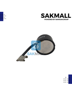 โอเวอร์โหลด no.21