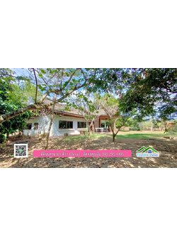 บ้านสวนผลไม้ ใกล้กับแหล่งท่องเที่ยว เจ้าของปลูกมะยงชิด ส้มโอ ต้นกฤษณา 20 ไร่ อยู่ติดถนนสายท่องเที่ยว สาริกา-นางรอง ต.สาริกา อ.เมือง จ.นครนายก