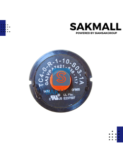 โอเวอร์โหลด GA3 VPA7421-638-117 RU/FK