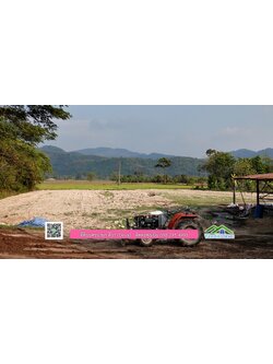 ที่ดินนครนายก วิวทุ่งนาต้นยางสวยๆ ขนาด 4 ไร่ ราคาไร่ละ 1.5 ล้าน ต.เขาเพิ่ม อ.บ้านนา จ.นครนายก