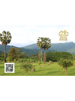 🌿 เริ่มต้นความสุขเล็ก ๆ ด้วยที่ดินแปลงสวย วิวเขา กลางธรรมชาติ ต.สาริกา อ.เมือง จ.นครนายก 💚