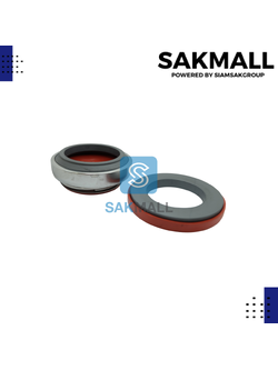 CM 301-60/110 (sic/sic/viton)