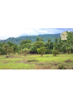 🌤 วิวภูเขาโอบล้อม ความสงบโอบใจ... ที่ดินสวนผลไม้ 120 ตร.ว. ต.หินตั้ง อ.เมือง จ.นครนายก 💛