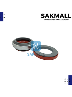 CM 301-65/110 (sic/sic/viton)