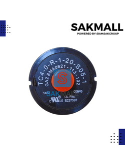 โอเวอร์โหลด GA2 SMA0621-113-102 RU/FK