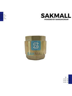 เช็ควาวล์สปริงทองเหลือง TS118 ขนาด 2 นิ้ว