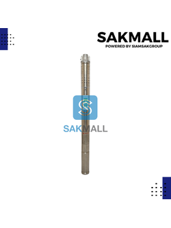 ปั๊มบาดาล TASANI ขนาด 1/2 ลงบ่อ 2 นิ้ว