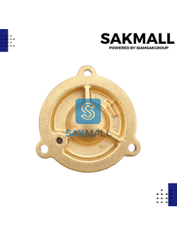 ฝาปิดใบพัดน้ำทองเหลือง AUWZB-250,370 ปั๊มอัตโนมัติจีน