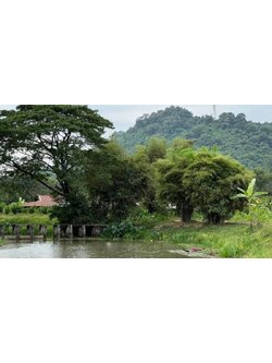 ที่ดินนครนายก วิวภูเขา ติดกับ ฝายทดน้ำ ถนนสาธาณะ พื้นที่ 516 ตร.ว. ต.เขาเพิ่ม อ.บ้านนา จ.นครนายก