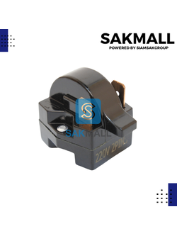 PTC รีเลย์ IC 2 ขา สำหรับ ตู้เย็น ตู้ทำน้ำเย็น IC-1P