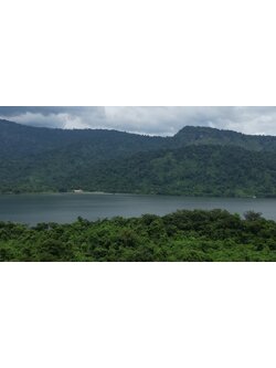 ที่ดินนครนายก สวนผลไม้ พื้นที่ 7 ไร่ ปลูกทุเรียน มังคุด ลองกอง มะยมชิด มีอาคาร 4 หลัง ด้านหน้าถนนสาธารณะ ด้านหลังติดอ่างเก็บน้ำ