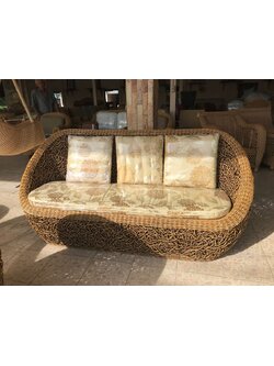 โซฟายาวรังนก