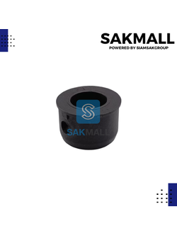 รูบู๊ชใบดำ B 21