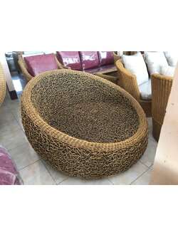 อพอลโลรังนกหวายแท้