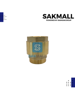 เช็ควาวล์สปริงทองเหลือง TS119 ขนาด 2 นิ้ว