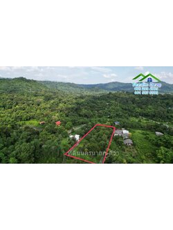 ที่ดินนครนายก ติดภูเขา ปลูกผลไม้เต็มพื้นที่ เนื้อที่ 2 ไร่ วิวภูเขาสวยงาม ผลไม้เก็บผลผลิตได้แล้ว อ.เมือง จ.นครนายก