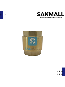 เช็ควาวล์สปริงทองเหลือง TS118 ขนาด 1 นิ้ว 1/4