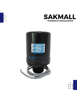 เพรสเซอร์สวิทซ์ 2.5-3.3 รู1/4 (PARNO)