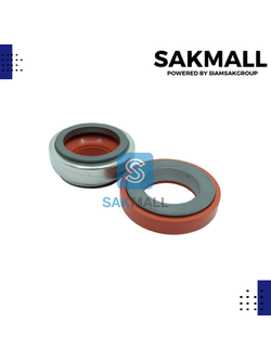 CM 301-20/45 (sic/sic/viton)