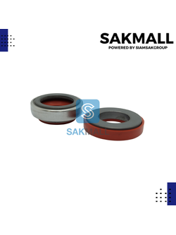 CM 301-25/50 (sic/sic/viton)