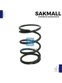 สปริงวาวล์ NO.41 GX160,GX200,168F,170F,2kw