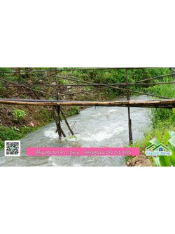 ที่ดินนครนายก สวนผลไม้ขนาดเล็ก 155 ตร.ว. ด้านหลังติดลำธาร