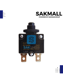 โอเวอร์โหลด 21 A