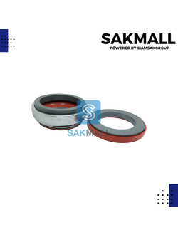 CM 301-70/110 (sic/sic/viton)