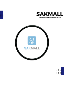 โอริงฝาครอบเช็ควาวล์ WM-P 250-400-750 XV แท้