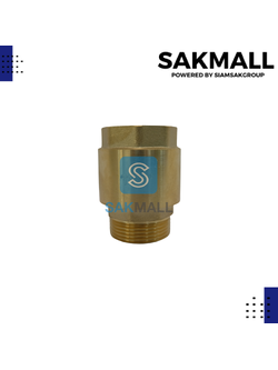 เช็ควาวล์สปริงทองเหลือง TS119 ขนาด 1 นิ้ว 1/4