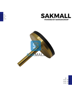 ลิ้นเช็ควาวล์ทองเหลืองมิตซู 1 นิ้ว 1/4