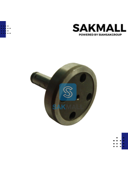 แกนข้อเหวี่ยง 4300BA #17